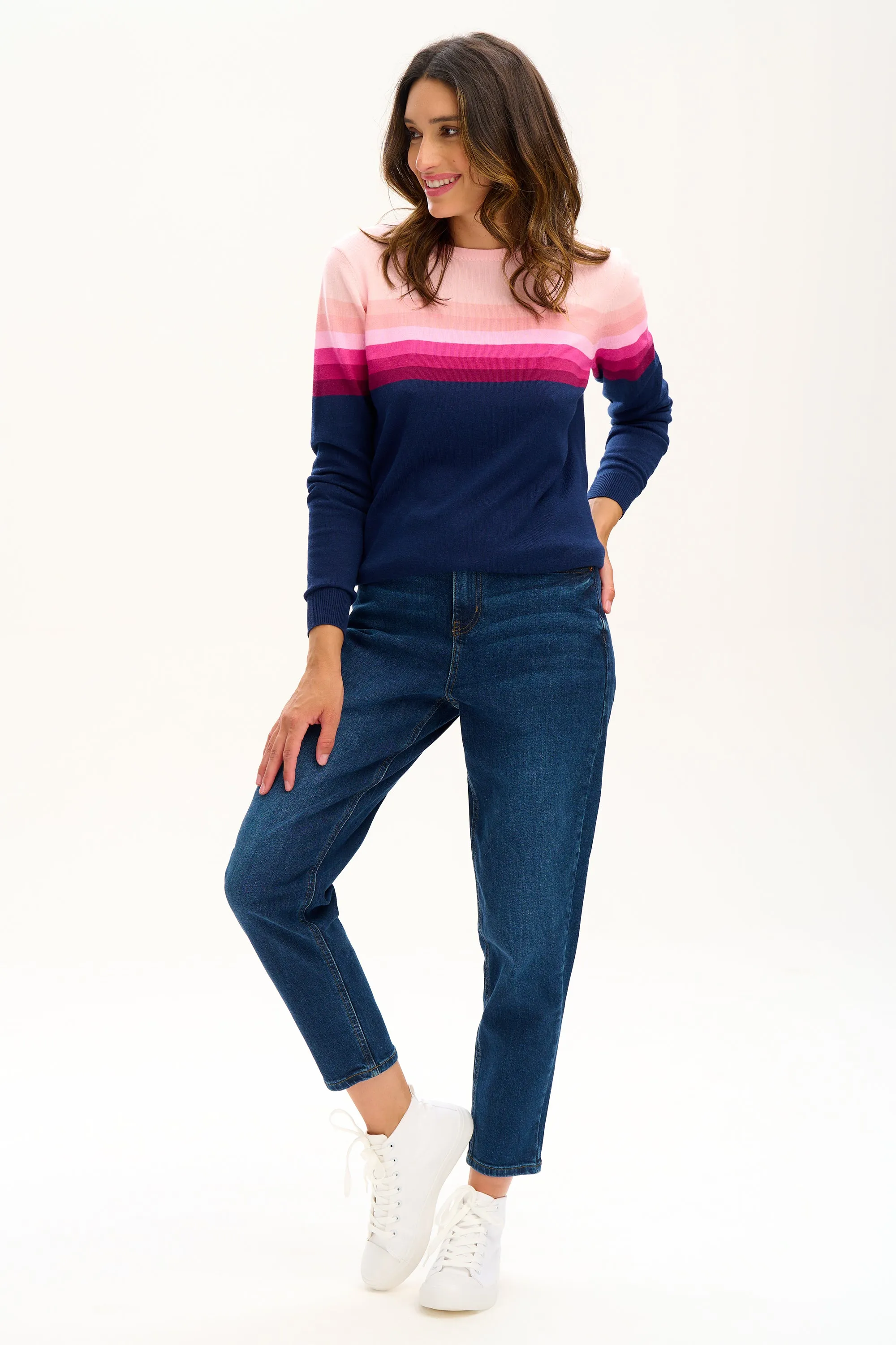 Rita Jumper - Navy, Pink Gradient Stripes